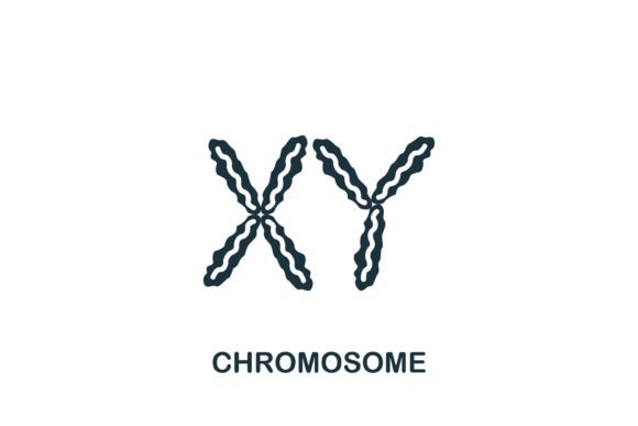 Chromosome Icon Graphics for Crafting