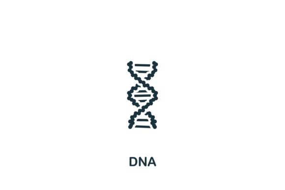 Dna Icon Graphics for Modern Branding